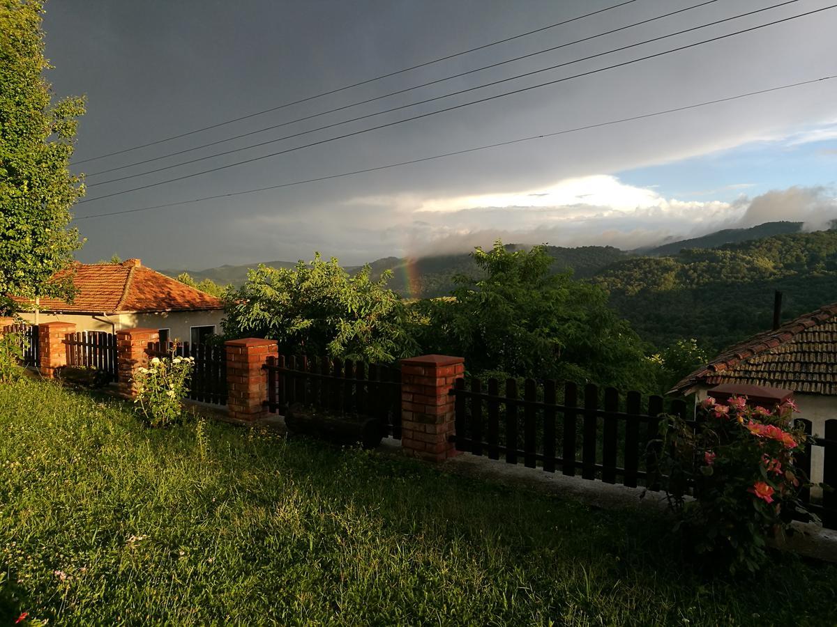Family Hotel Lipite Tipchenitsa Dış mekan fotoğraf